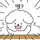 부산댁율하부산밀면 이미지