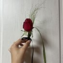 군포-산본-2101 | [W.12] 웨딩 촬영 준비 - 소품(부케, 케이크, 웨딩슈즈, 컨페티) 준비, 시안 및 컨셉 구상, 준비물 꿀팁