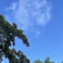 류성현한의원 이미지