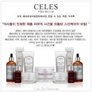 셀레스잇