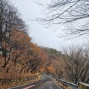 도리사로 이미지