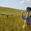 허수아비 이미지