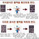 당뇨 작은 운동으로 많이 좋아 질수 있다 간단한 발지압법 오행과 발지압법 이미지