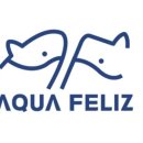 아쿠아펠리스 수영장 이미지