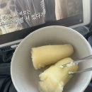🇦🇺 [D+182~D+211] 리드컴 강촌, 버우드 마라샹궈 맛집...서리힐즈 카페, 시드니 본가 후기, ARISUN