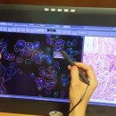 가톨릭대학교 여의도성모병원 이미지