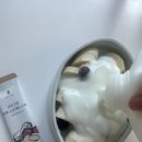 짜먹는 땅콩버터 넛츠그린 땅콩스프레드 스틱 직장인 도시락 간식
