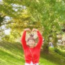 용천통닭담양점 | 담양 1박2일 여행 드라이브 코스 관방제림 자전거 절망편 메타세콰이어 가을 단풍 절대 밤에 가지 마세요