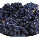 라온힐요양병원 이미지