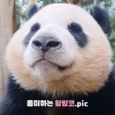 후이코이