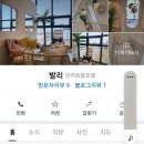 발리애견호텔 이미지