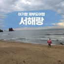 부경카 | 아기랑 제부도여행 서해랑 케이블카 내돈내산