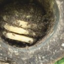 설통신 - 북구 침산로 93 | 설통신