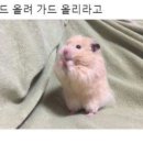 다정산부인과의원 이미지