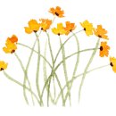 365행복마을 이미지