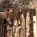 만세동농장 이미지