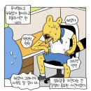 마이트리요가 - 용산구 대사관로 66 | 요가파이어 4주차 후기 [마이트리요가 연희]