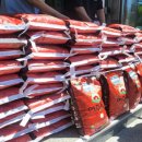 올굿마취통증의학과의원 이미지