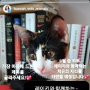 해나레