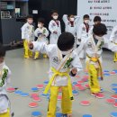 MTA태성태권도장 이미지