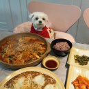 더샵 | 고성 애견동반 식당 실내 강아지 OK 로컬 한식 맛집