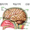 자기 삶의 주인이 되는 책 읽기 이미지