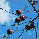 재천농장 이미지