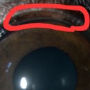 샤인아이안과동물병원 이미지