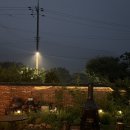 옥분스테이 이미지