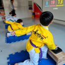 품태권도장 이미지