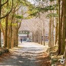한국관광공사 추천, 3월 걷기여행길 5선