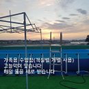 늘푸른숲 | 안면도 늘푸른숲펜션 방문 후기 및 정보 7월 할인코드 받고 예약
