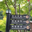 더 맑은 민박 이미지