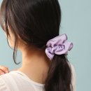 연보라(주) 이미지