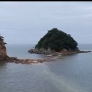 꽃지아라 이미지