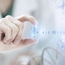 차의과학대학교 미술치료대학원 이미지