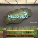 주식회사 제주마음렌트카 | 제주도 렌트카 가격비교 제주 렌트카 완전자차 코스 추천 후기