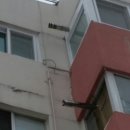 청송가스 이미지