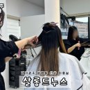 살롱드누스
