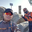 북악자동차 이미지