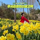 유형문화재 제43호 추사고택 주차장 | 충남 예산 추사 김정희 선생 고택 수선화 데이트 코스