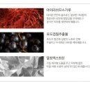 e솔트 이미지