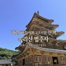 속리산 법주사 | [속리산 법주사] 파란 하늘 아래 고즈넉한 산사 산책, 속리산 법주사 다녀온 후기