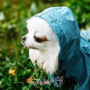 아이러브피부과의원