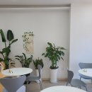 요거트월드 역곡점 이미지