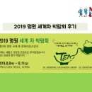 [8월 미션] 2019 명원 세계 차 박람회 후기