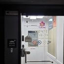 수원고양이호텔 가토캣슬 이미지