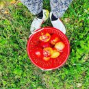 윤중근 농장 이미지