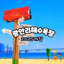 부산광역시 수영구 광안해변로 219   (광안동) 수영구 생활문화센터 앞 | 광안리해수욕장 개장 파라솔 물놀이 7월 8월 놀거리 차없는거리 조개잡이 행사 2025