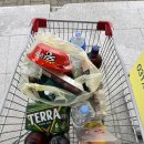 미엔느 펜션 | 가평 미엔느펜션 데이지방 후기